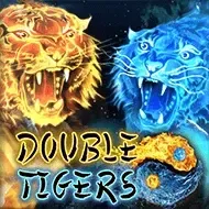Double Tigers icon